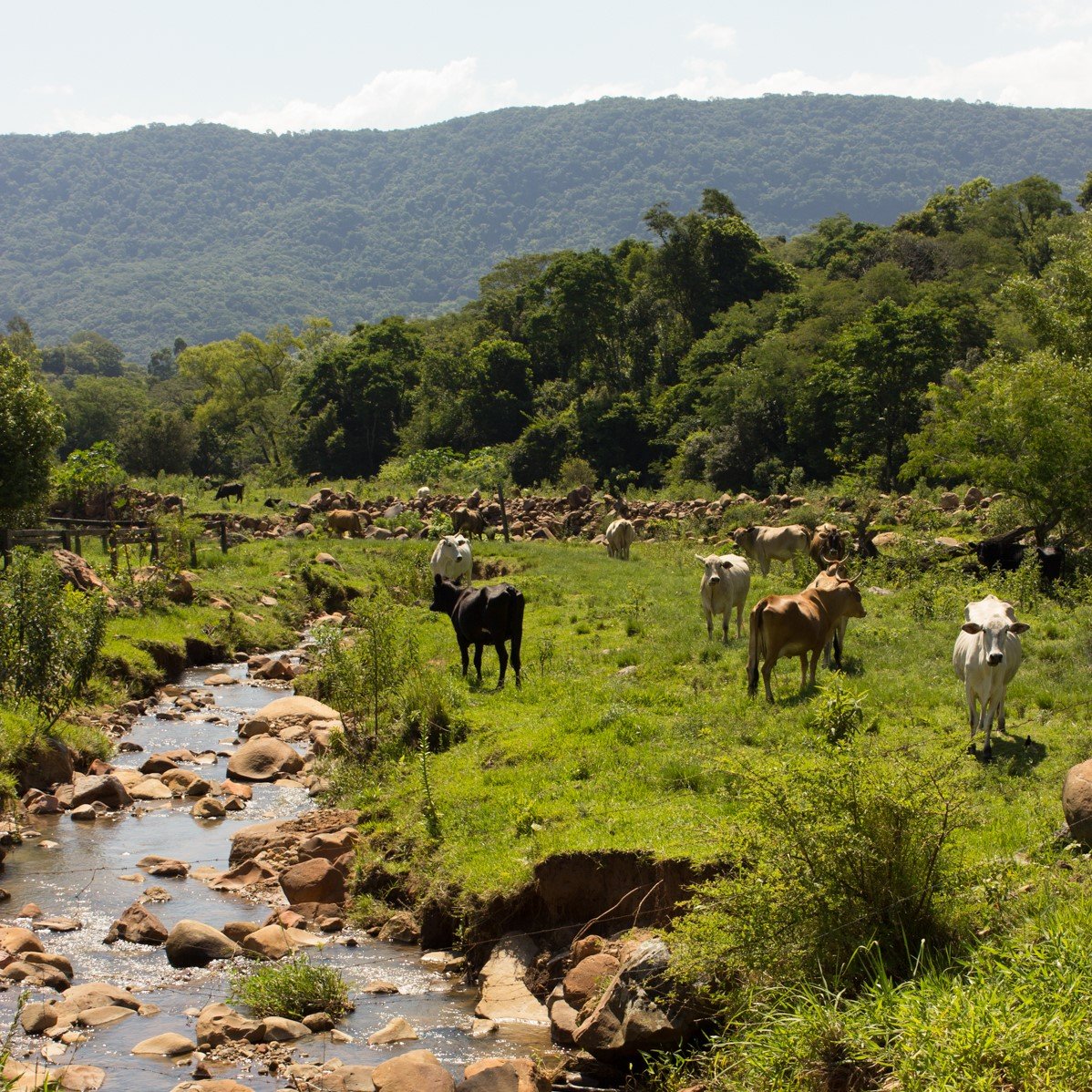 Paisagens do Rural