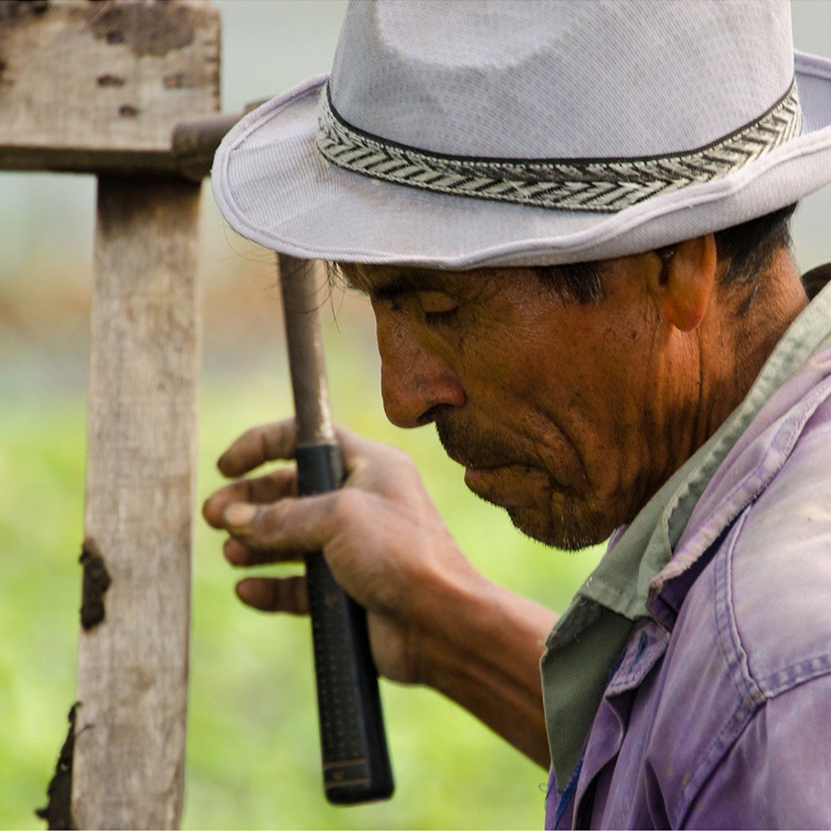 Retratos do Rural